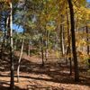 The Nature Trail and Cranberry Bog gift card