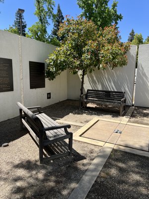 Fresno Art Museum by null