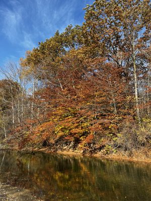 Kohler-Andrae State Park by null