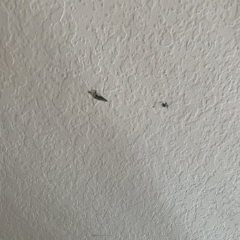 2Man Moving Services - Movers Near Me