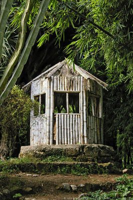 Orto Botanico di Palermo by null