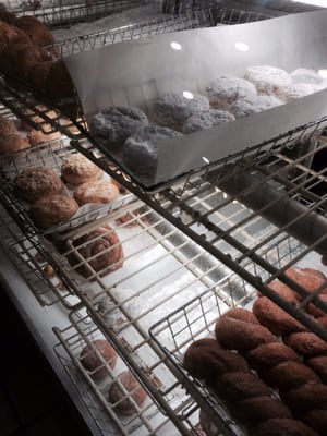 Tastee Donuts by null