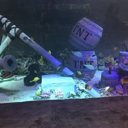 SeaQuest - Utah