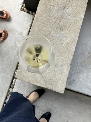 Burnt Hill Farm by null