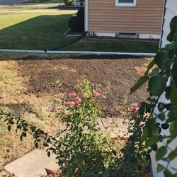 Boughton's Tree Service - Wonderful job
