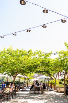 Shadybrook Estate Winery by null