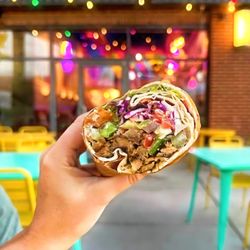 Spitz - Plano