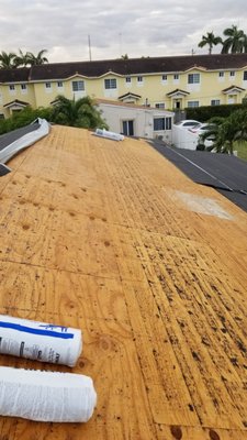 Tri-County Native Logo