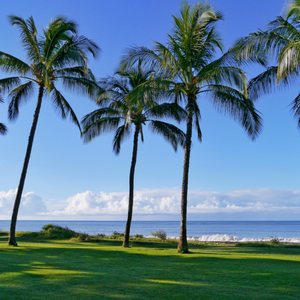 Waimea Plantation Cottages A Coast Hotel 205 Photos 87