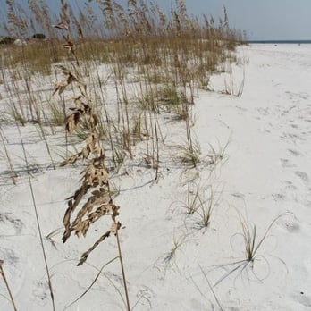 Shell Island White Sand Beach - Beaches Near Me - Panama City, Florida Shell Island White Sand Beach - Beaches Near Me - Panama City, Florida