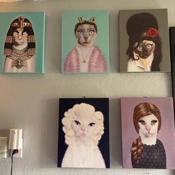 Elm & Magnolia - Love cats ! - Pizza Near Me - Spring, Texas