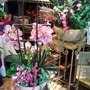 Studfield Florist