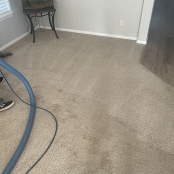 FreshDry - Carpet - progress cleaning - Carpet Cleaning Near Me