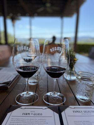 Regusci Winery by null