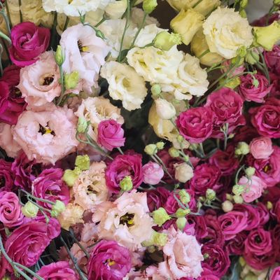 The Farmers Market at Brock's Gap by null