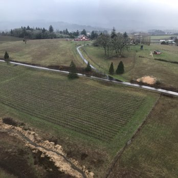 Tour DeVine by Heli - Wine Tours Near Me - McMinnville, Oregon