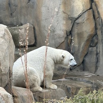 Lincoln Park Zoo - Zoos Near Me - Chicago, Illinois Lincoln Park Zoo - Zoos Near Me - Chicago, Illinois