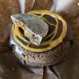 Photo of Carb Free Baking Co.