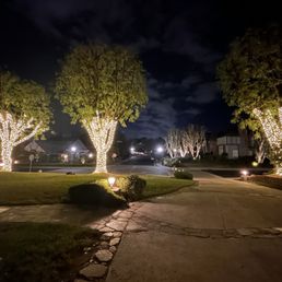 Night scene of a residential street with trees wrapped in string lights, illuminating the area and sidewalk.