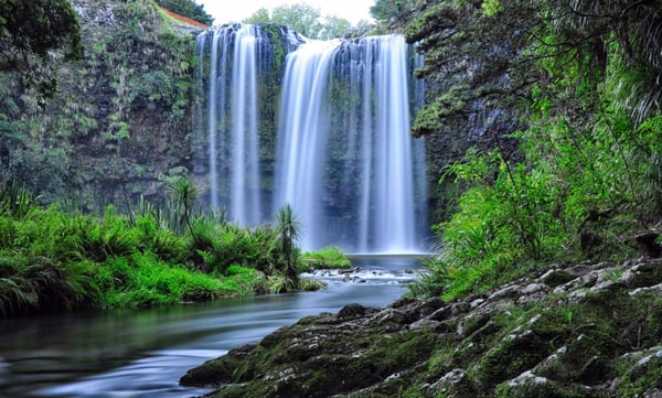 Whangarei Falls Holiday Park and YHA by null