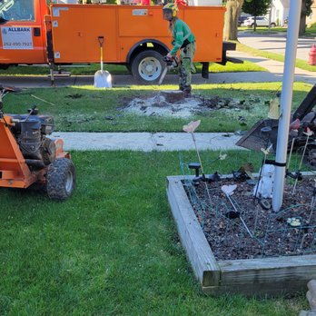 Allbark Tree Service - After - Tree Services Near Me - Milwaukee, Wisconsin