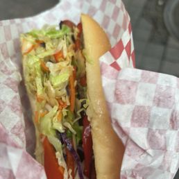 "Seattle Dog"