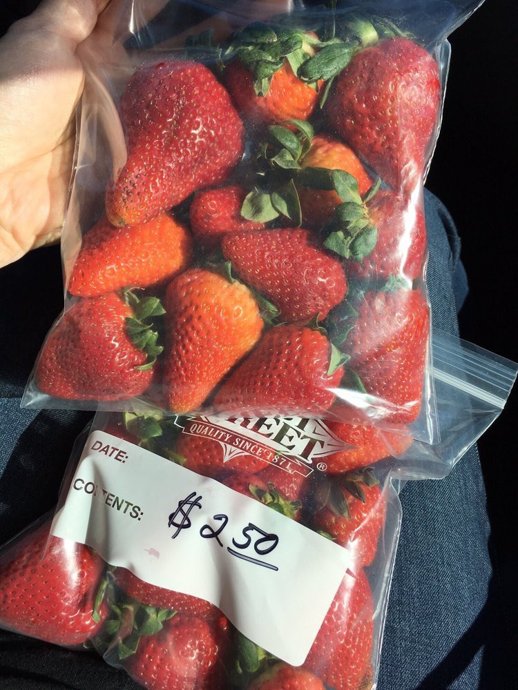 Liberty Green Farms - beekeeping in Petaluma, CA