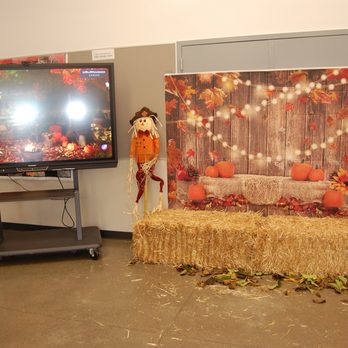 ABC Tree Farms - Our photo backdrop all made possible by our local ABC pumpkin patch. - Pumpkin Patches Near Me - American Canyon, California ABC Tree Farms - Our photo backdrop all made possible by our local ABC pumpkin patch. - Pumpkin Patches Near Me - American Canyon, California