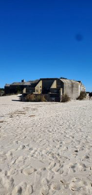 Battery 223 Cape May Bunker