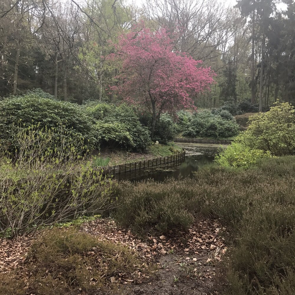 Villa Heidetuin - The gardens of the "bos" (forest). - Bed & Breakfast Near Me - Bergen op Zoom, New Brunswick
