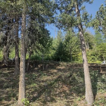 Chopping Block - After - Tree Services Near Me - Coeur D'alene, Idaho Chopping Block - After - Tree Services Near Me - Coeur D'alene, Idaho