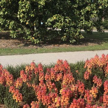 Hampton Park - Parks Near Me - Charleston, South Carolina