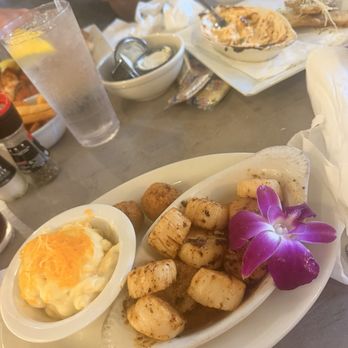 Wolf Bay at Orange Beach - Sea scallops and Mac and cheese - Seafood Near Me - Orange Beach, Alabama