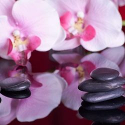 The Haleiwa Massage Muse - Hot stone pohaku massage