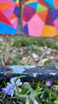 Central Construction