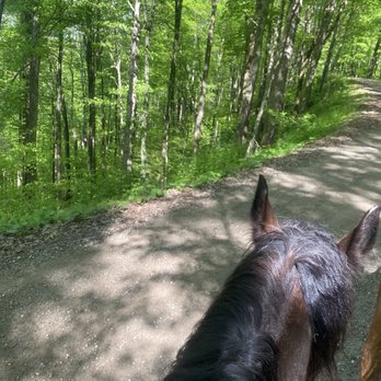 Uncle Buck's Public Riding Stables And Dance Barn - On the trail ride - Music Venues Near Me - New Marshfield, Ohio Uncle Buck's Public Riding Stables And Dance Barn - On the trail ride - Music Venues Near Me - New Marshfield, Ohio