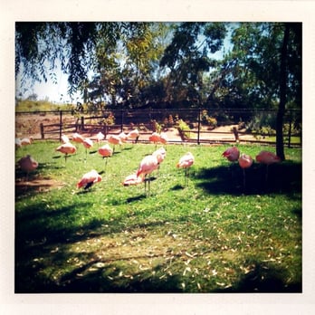 Phoenix Zoo - Zoos Near Me - Phoenix, Arizona