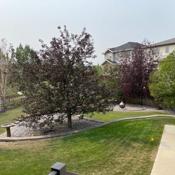 Bartlett Tree Experts - Calgary - Tree Services Near Me - Calgary, Alberta Bartlett Tree Experts - Calgary - Tree Services Near Me - Calgary, Alberta