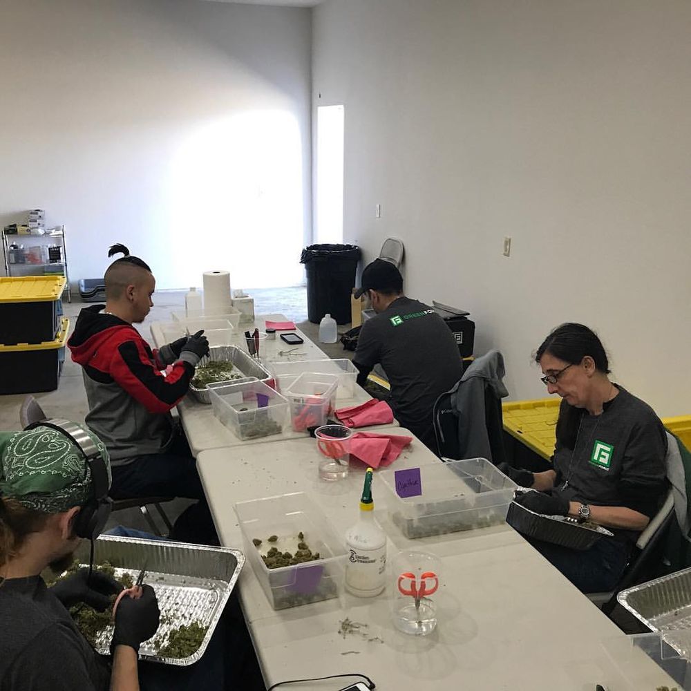 GREENFORCE STAFFING Updated September 2024 1300 SE Stark St, Portland, Oregon Employment