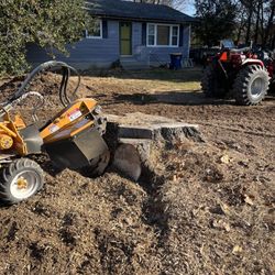 Ensley’s Stump Removal - Stump removal