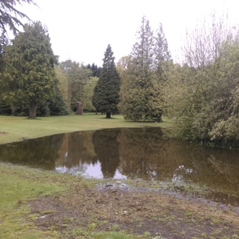 Ormeau Park - Summer flooding in the park - Tennis Near Me - Belfast, BFS