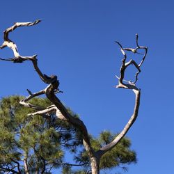Sebastian Scrub Conservation Area