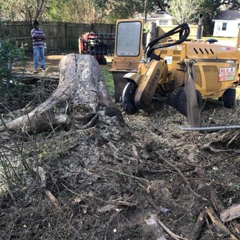 Al's Stump Grinding & Root Clearing - Al's Stump Grinding & Root Clearing - Tree Services Near Me - Goose Creek, South Carolina Al's Stump Grinding & Root Clearing - Al's Stump Grinding & Root Clearing - Tree Services Near Me - Goose Creek, South Carolina