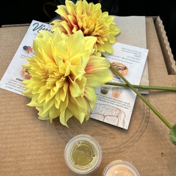 Vinoma - dahlia - Empanadas Near Me - Rohnert Park, California