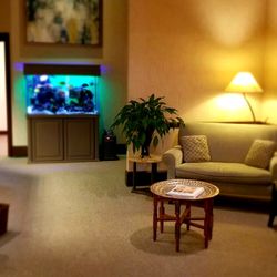 Michele R Chartier, DDS - The waiting area is comfortable, graciously appointed, and includes touches designed to complement the services provided.