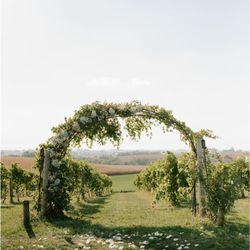 Caroline's - Vineyard arch supplemented with greenery and flowers