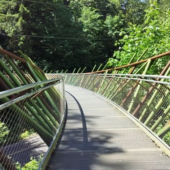 Hoyt Arboretum - Botanical Gardens Near Me - Portland, Oregon