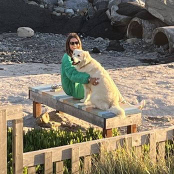 Classic Heritage Golden Retrievers - Pet Breeders Near Me Classic Heritage Golden Retrievers - Pet Breeders Near Me