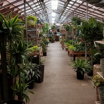 Mostardi Nursery - October 2020 - Nurseries & Gardening Near Me - Newtown Square, Pennsylvania