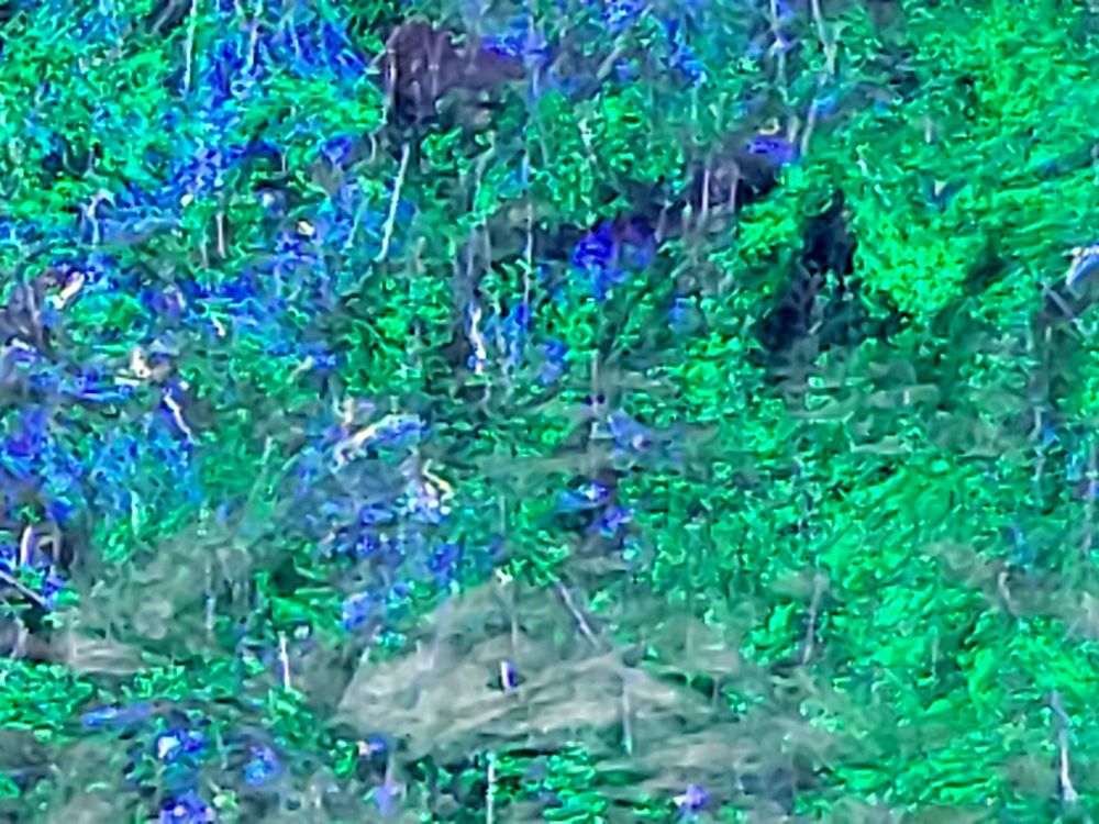 CAR WASH WASHMAN Updated September 2024 40 Photos & 29 Reviews